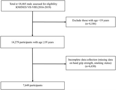 Association between smoking status and handgrip strength in Korean male adults: based on Korea National Health and Nutrition Examination Survey 2016–2019